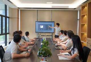 浦东新区绿化植物租赁